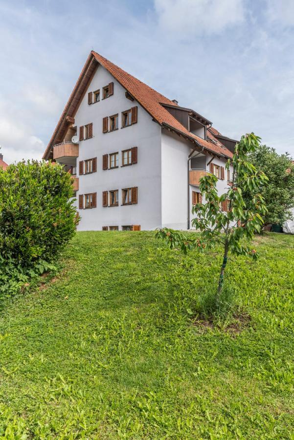 Rh-Appartements 15 Minuten Von Basel Im Dorf Ruehrberg Grenzach-Wyhlen Exterior foto